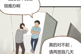 普陀区融资清欠服务