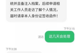 普陀区债务清欠服务